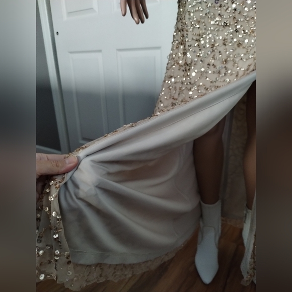 Adrianna Papell Crunchy Breaded Gown 2 - Picture 4 of 8